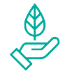 A green leaf is being held by someone